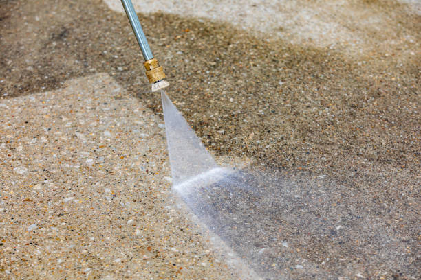 Best Animal Enclosure Cleaning  in Clear Lake Shores, TX